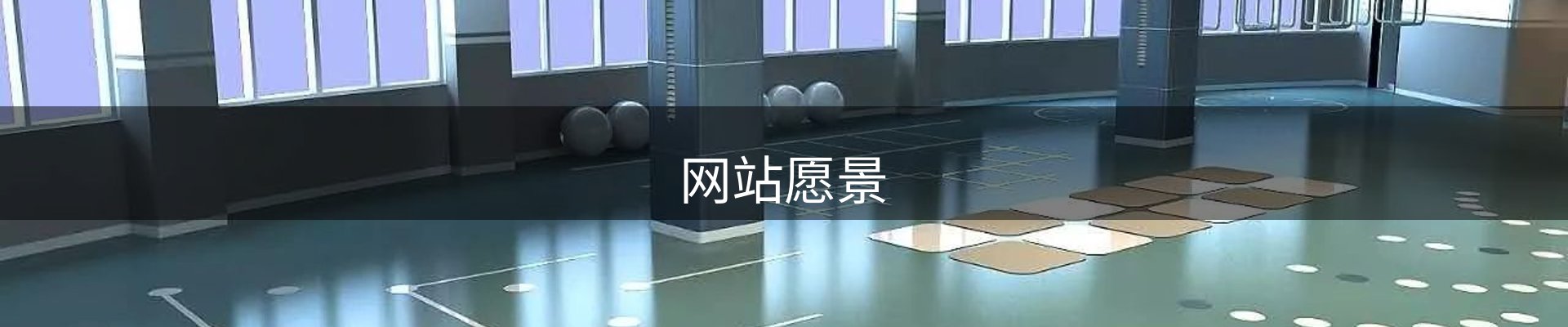 网站愿景
